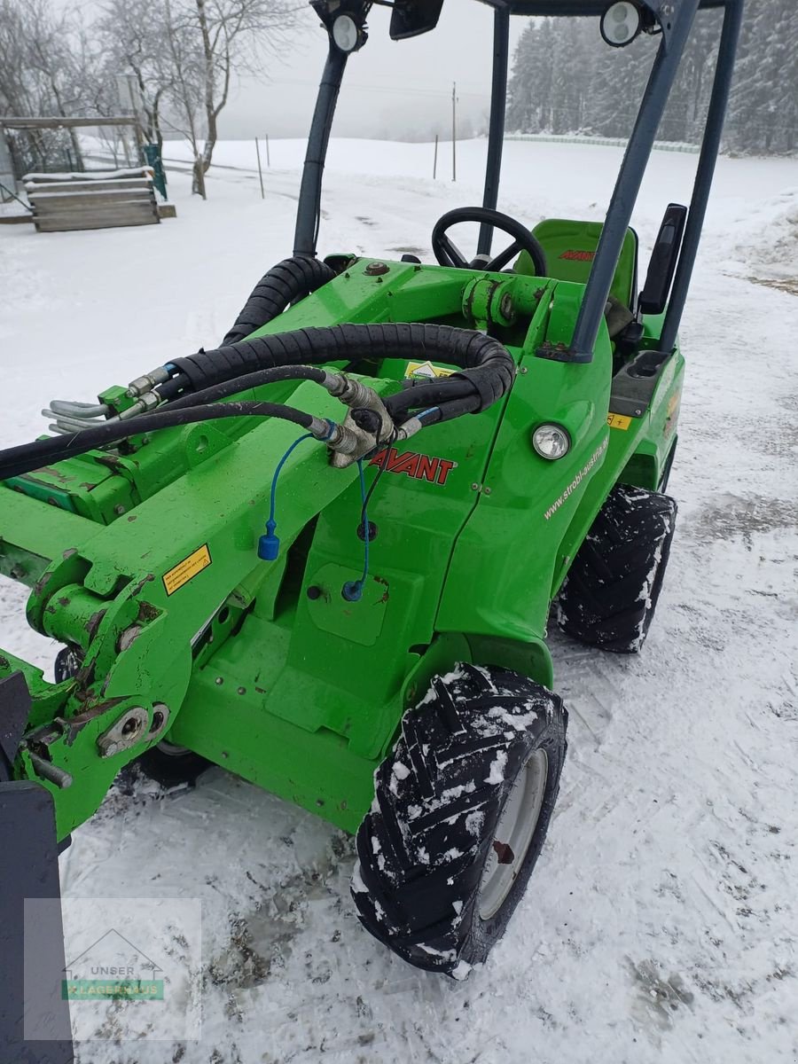 Hoflader of the type Avant 528K, Gebrauchtmaschine in Freistadt (Picture 6)