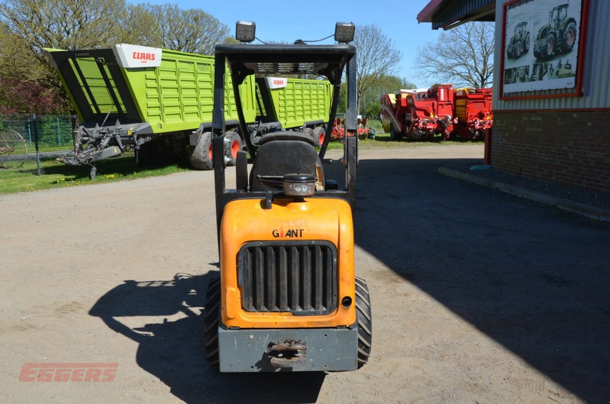 Hoflader za tip GiANT D 263 S HL, Gebrauchtmaschine u Suhlendorf (Slika 4)