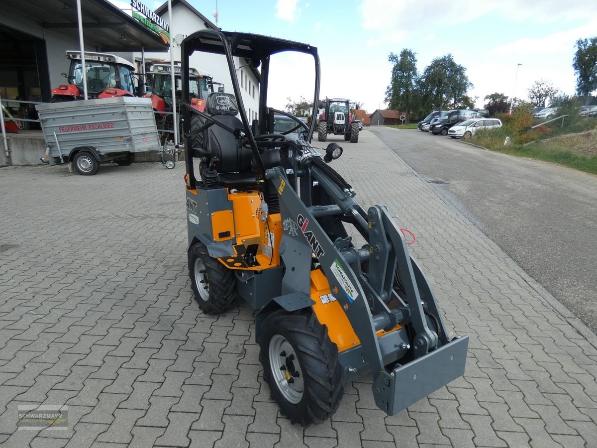 Hoflader des Typs GiANT G1200, Mietmaschine in Aurolzmünster (Bild 3)