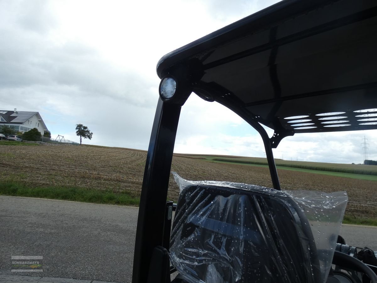 Hoflader des Typs GiANT G1200, Mietmaschine in Aurolzmünster (Bild 13)