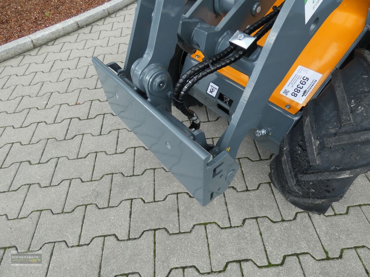 Hoflader des Typs GiANT G1200, Mietmaschine in Aurolzmünster (Bild 7)