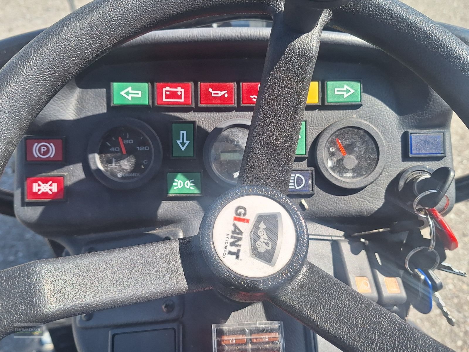 Hoflader des Typs GiANT G2200 HD, Neumaschine in Aurolzmünster (Bild 23)