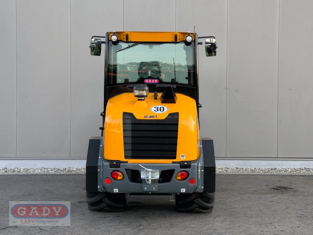 Hoflader of the type GiANT G3500, Neumaschine in Lebring (Picture 4)