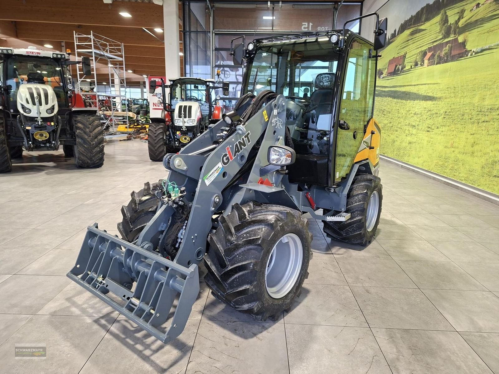 Hoflader tip GiANT G3500, Neumaschine in Gampern (Poză 8)