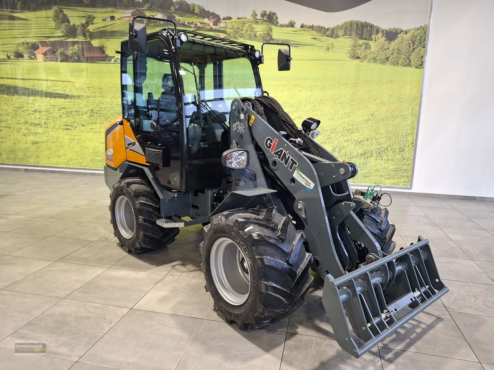 Hoflader tip GiANT G3500, Neumaschine in Gampern (Poză 10)