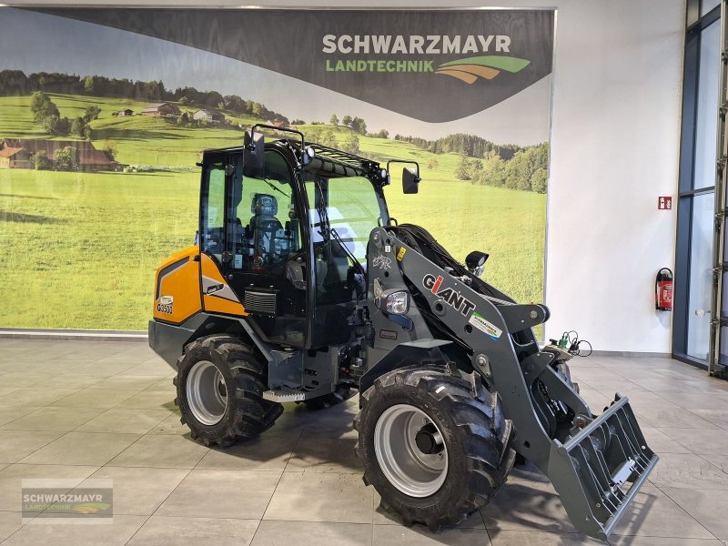 Hoflader des Typs GiANT G3500, Neumaschine in Gampern (Bild 1)