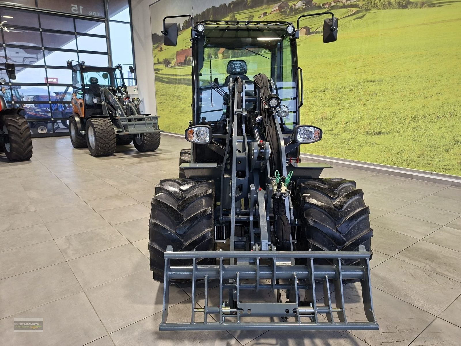 Hoflader tip GiANT G3500, Neumaschine in Gampern (Poză 9)