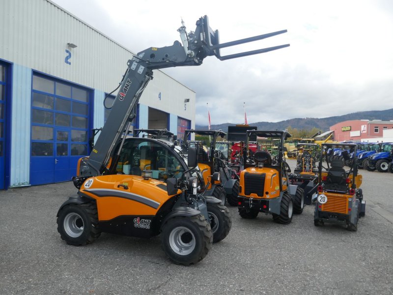 Hoflader typu GiANT GT 5048, Gebrauchtmaschine v Villach (Obrázok 1)