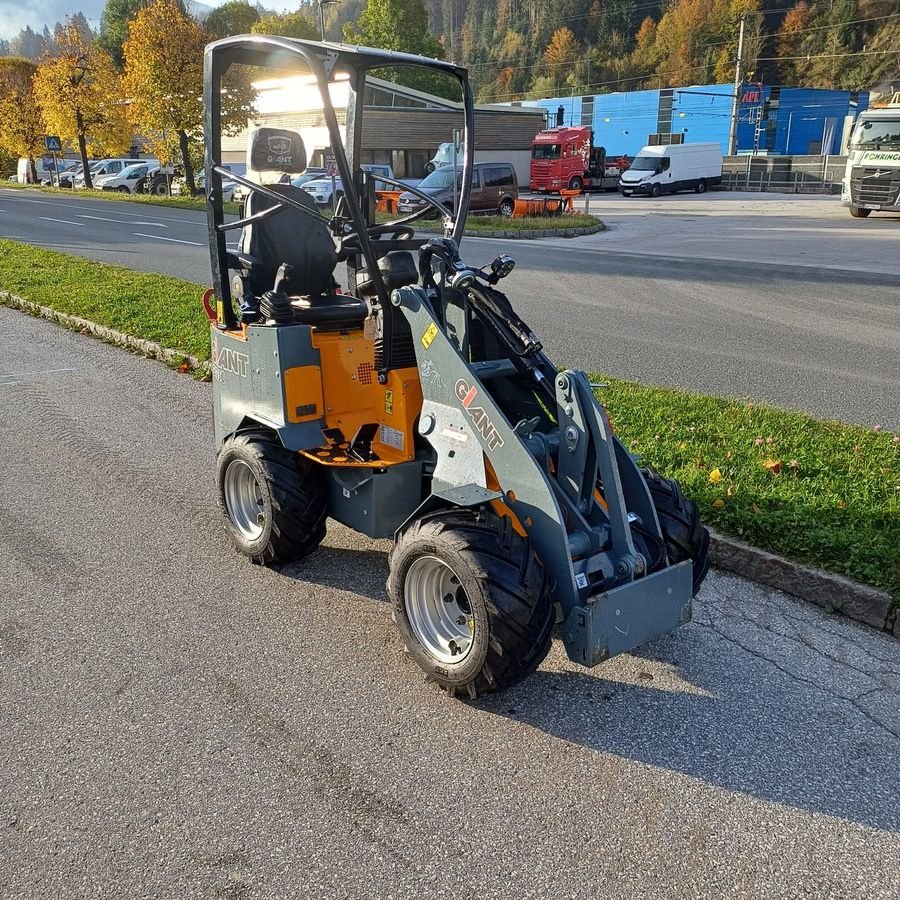 Hoflader of the type GiANT Kompaktradlader, Vorführmaschine in Hopfgarten (Picture 15)