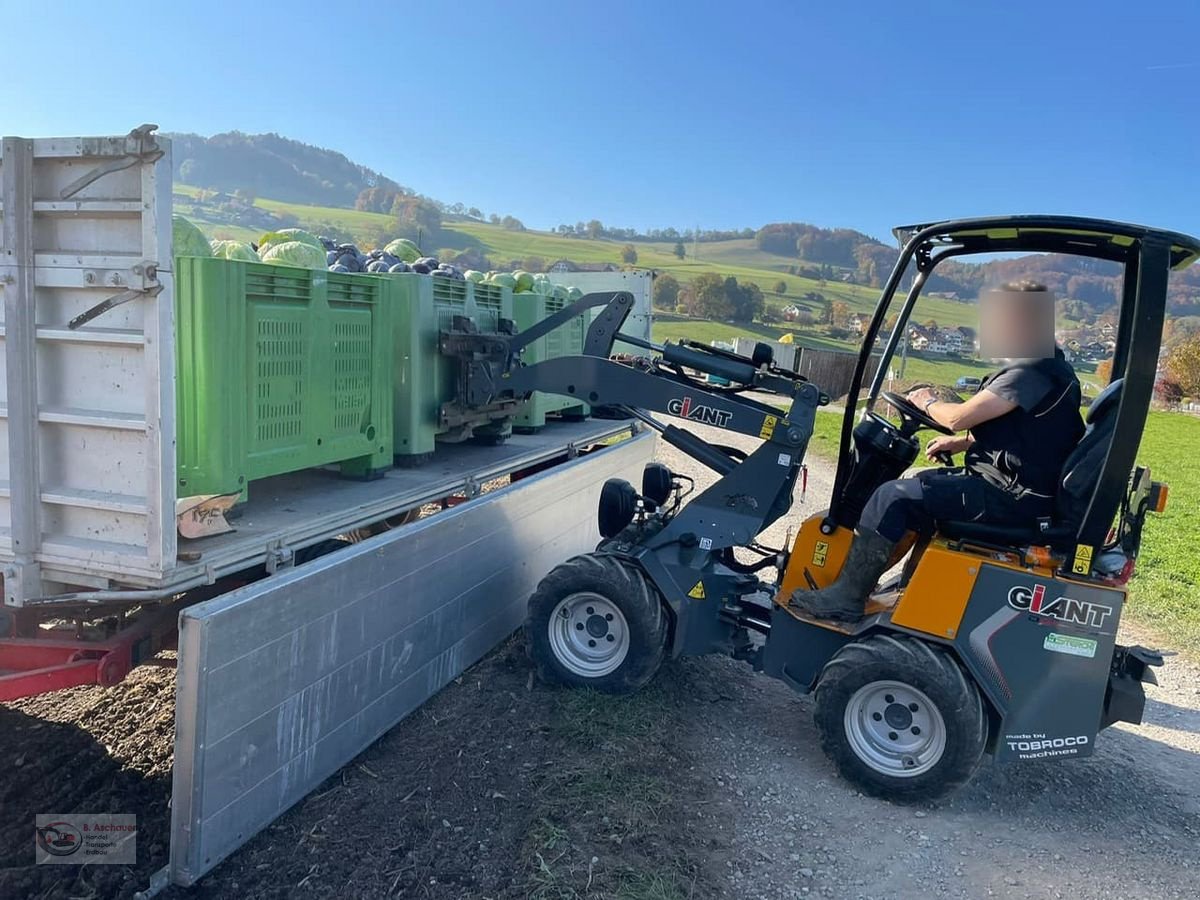 Hoflader tipa GiANT Lader Giant D254 SW, Gebrauchtmaschine u Dimbach (Slika 4)