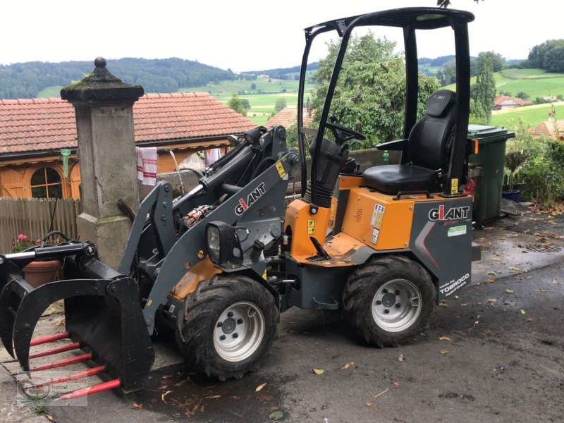 Hoflader tipa GiANT Lader Giant D254 SW, Gebrauchtmaschine u Dimbach