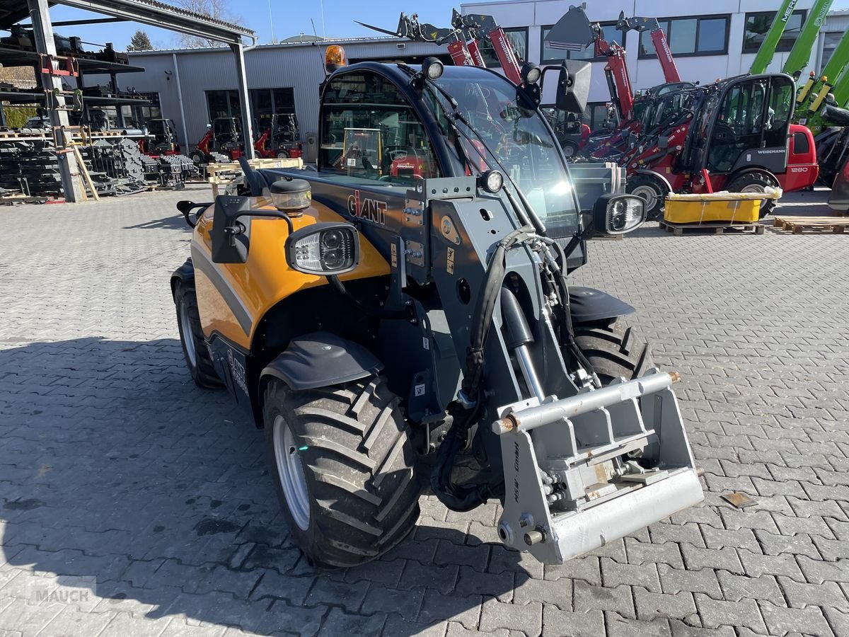 Hoflader of the type GiANT Tendo 5048 mit Weidemann Aufnahme, Gebrauchtmaschine in Burgkirchen (Picture 5)