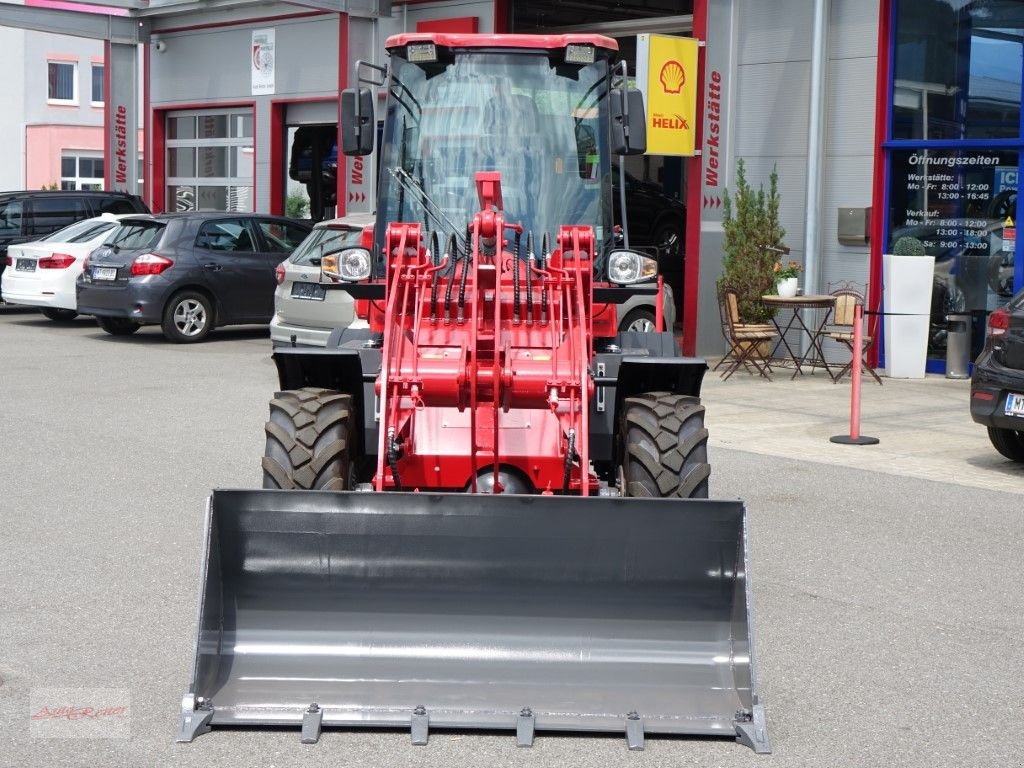 Hoflader des Typs Grizzly 15 Allrad mit 2 Jahren mobile Garantie!, Neumaschine in Fohnsdorf (Bild 2)