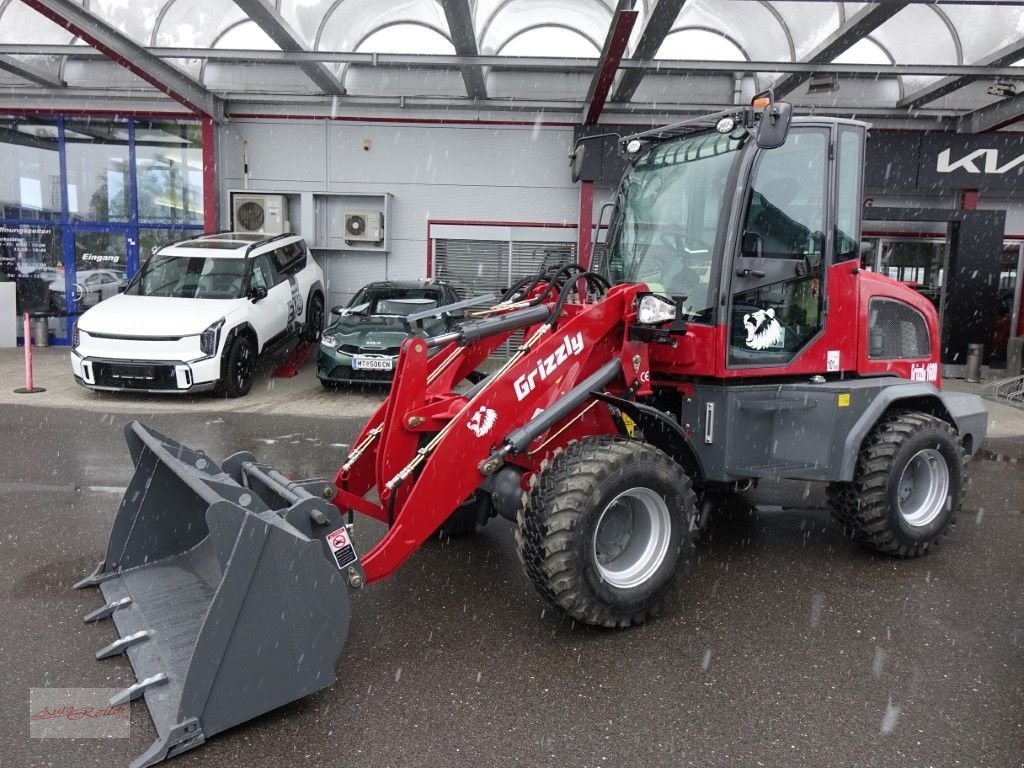 Hoflader a típus Grizzly 1600 4WD mit KLIMA, Neumaschine ekkor: Fohnsdorf (Kép 19)