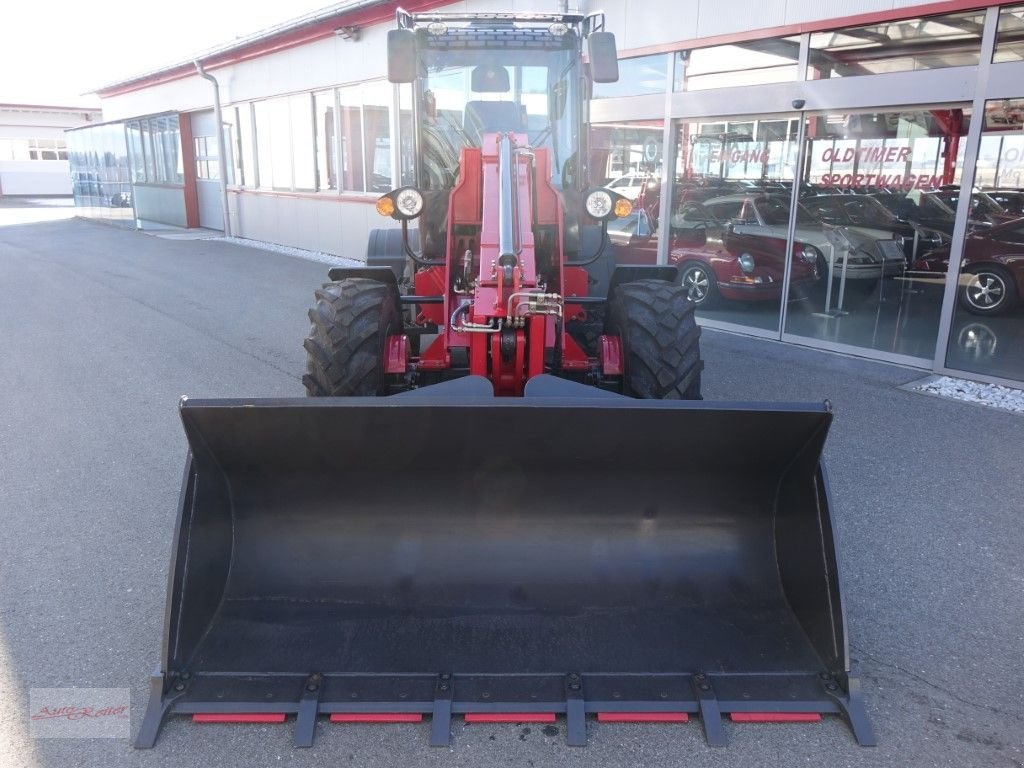 Hoflader of the type Grizzly 825Telelader 4WD Euro5! 2 Jahre mobile Garantie, Neumaschine in Fohnsdorf (Picture 3)