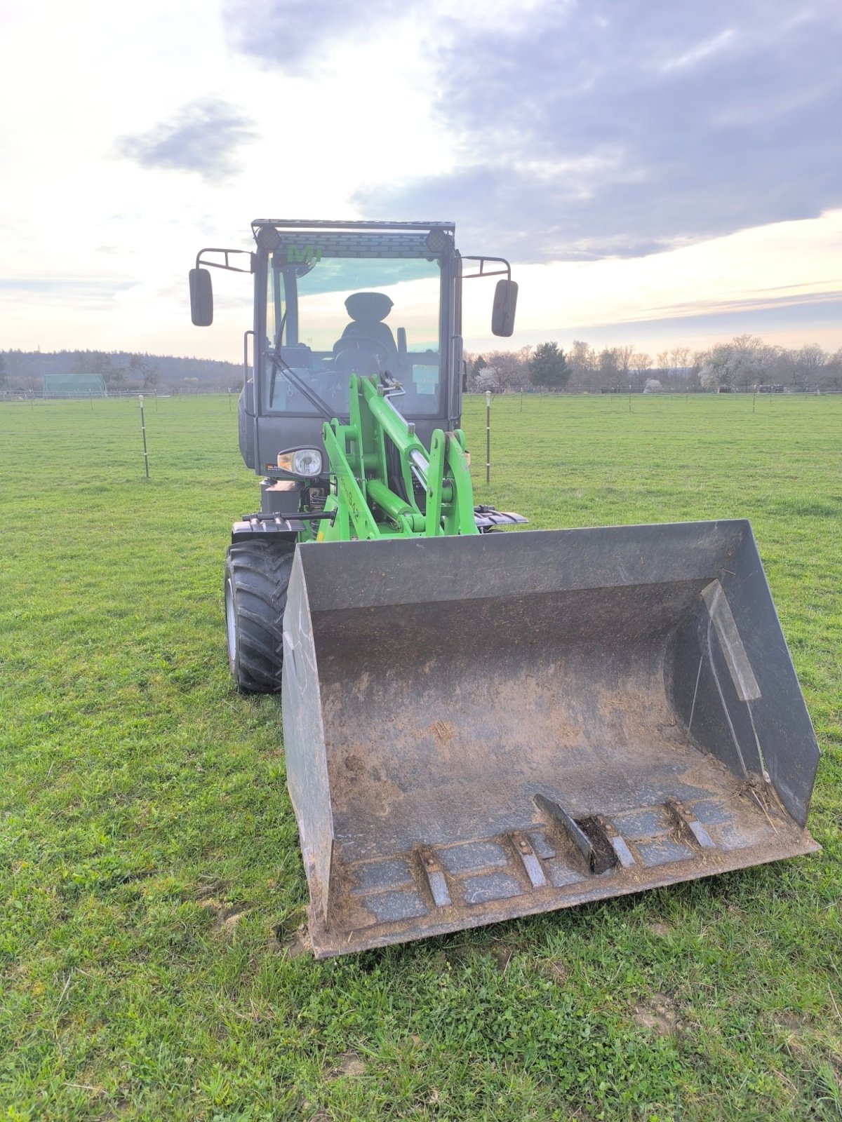 Hoflader Türe ait Mammut WL 12, Gebrauchtmaschine içinde Köngen (resim 5)