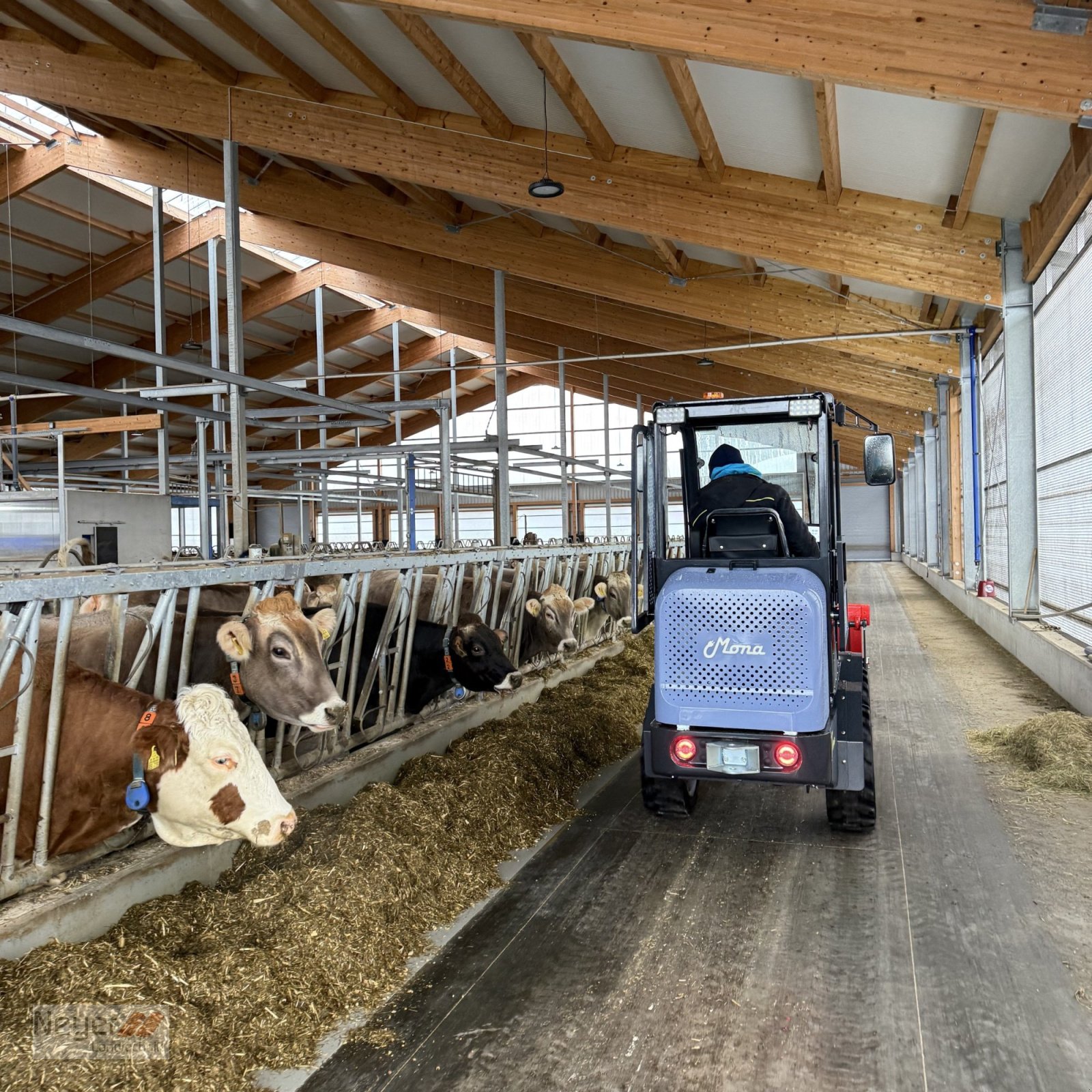 Hoflader des Typs MONA Terra, Neumaschine in Bad Waldsee Mennisweiler (Bild 2)
