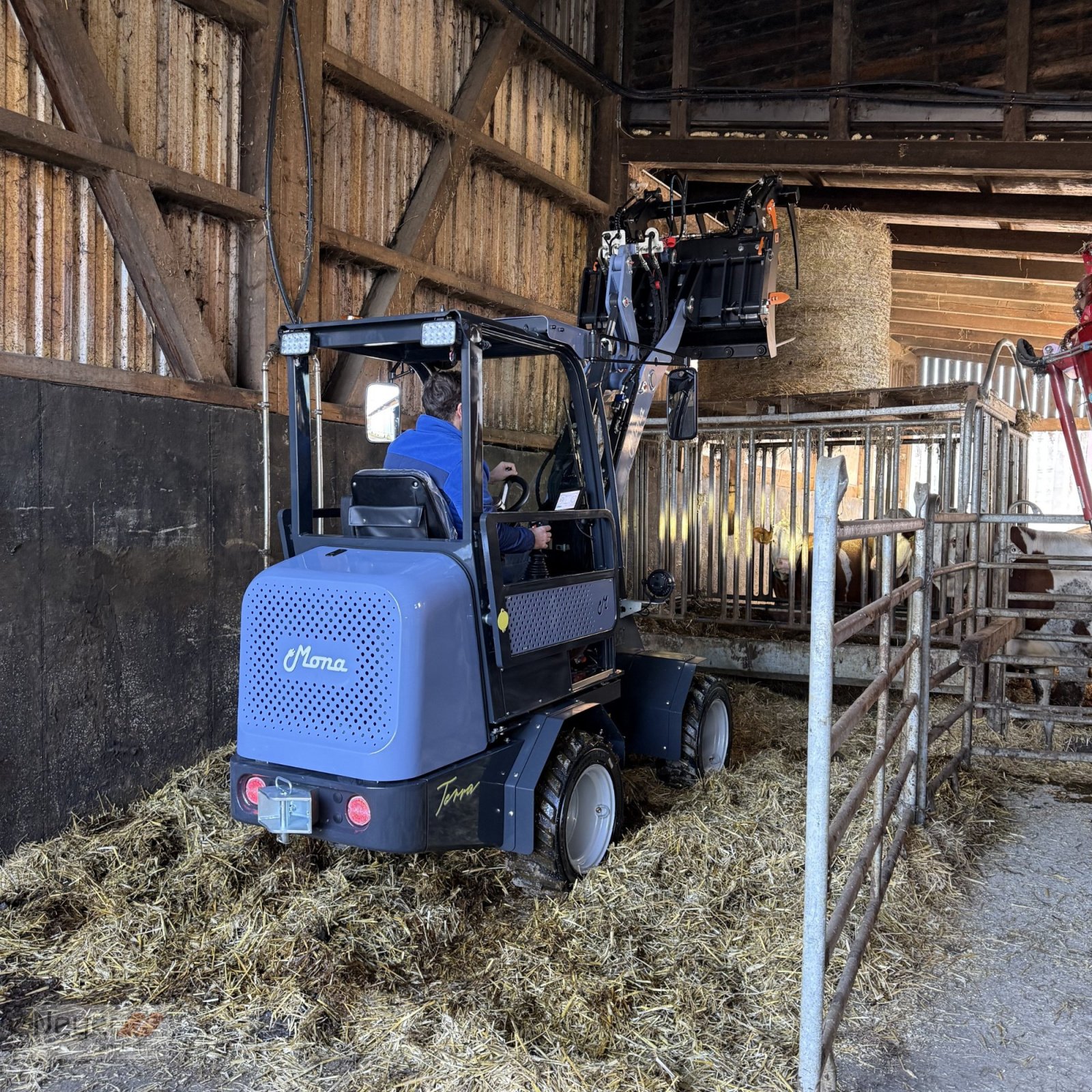 Hoflader des Typs MONA Terra, Neumaschine in Bad Waldsee Mennisweiler (Bild 7)