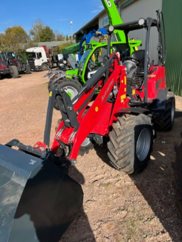 Hoflader of the type Schäffer 3650, Gebrauchtmaschine in CHAMPLECY (Picture 2)