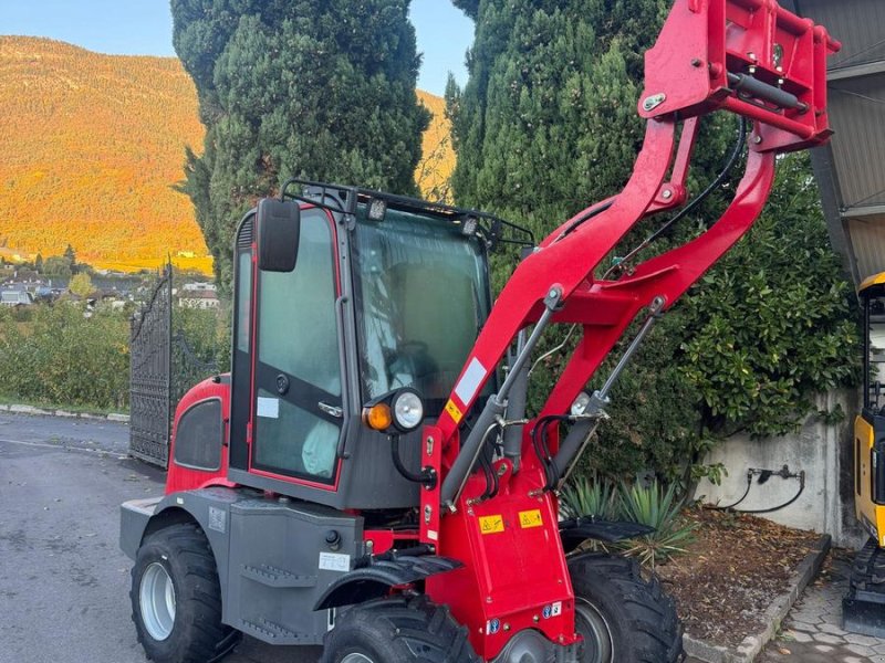 Hoflader del tipo Sonstige 908, Gebrauchtmaschine In Eppan (BZ) (Immagine 1)