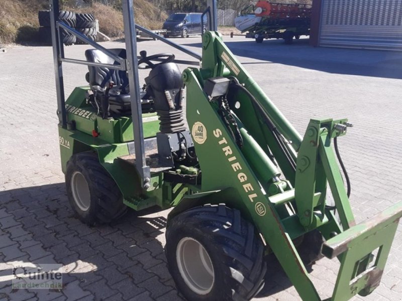 Hoflader типа Striegel 160 DYA, Gebrauchtmaschine в Lichtenau-Kleinenberg