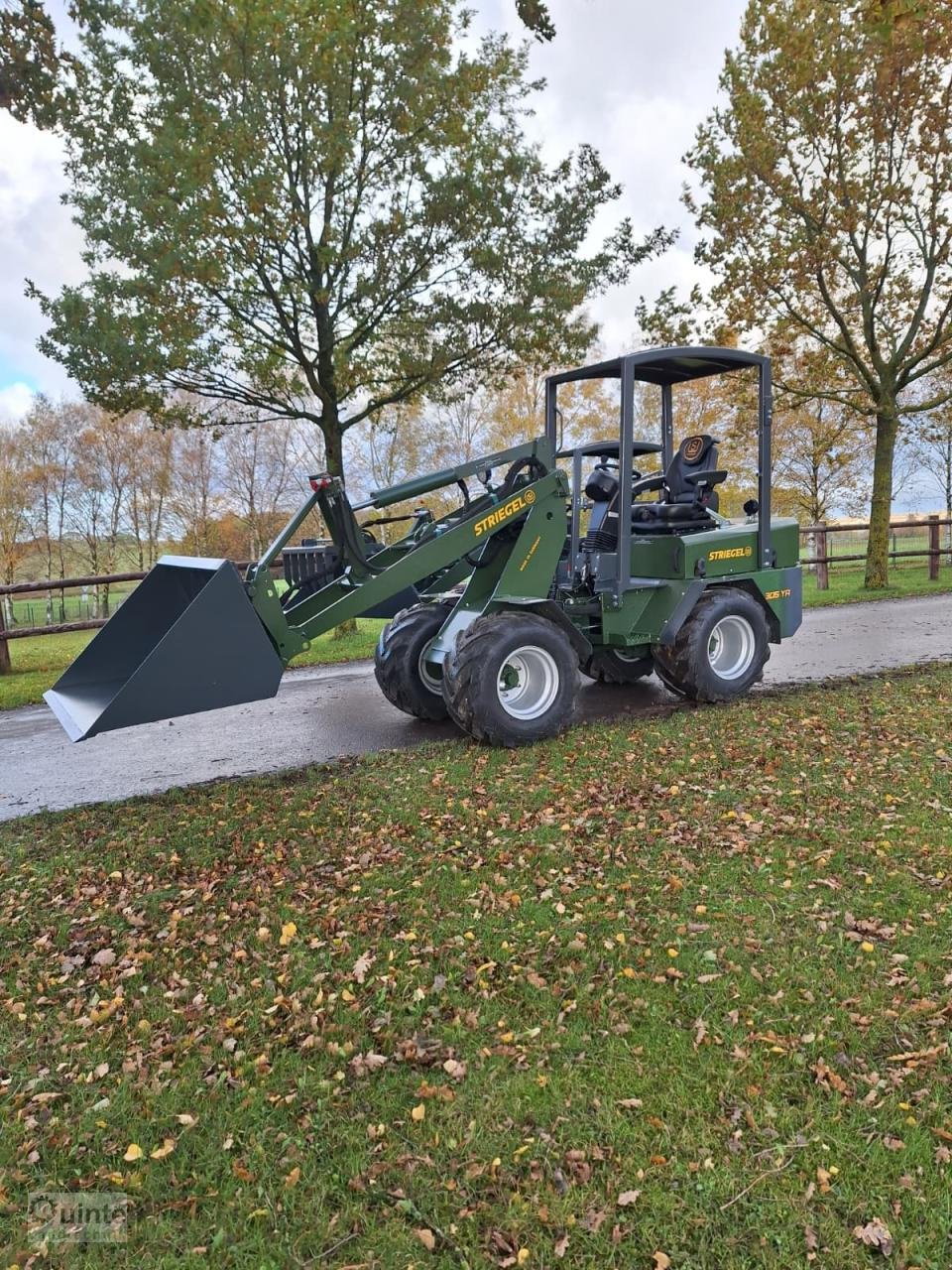 Hoflader of the type Striegel YA 305, Gebrauchtmaschine in Lichtenau-Kleinenberg (Picture 1)