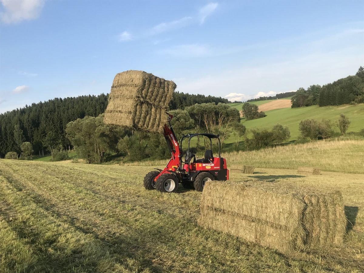 Hoflader typu Thaler 2438  S DPF, Gebrauchtmaschine w Bad Leonfelden (Zdjęcie 21)