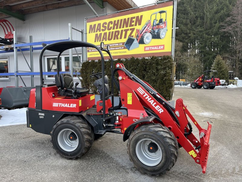 Hoflader of the type Thaler 2838 S DPF, Neumaschine in Bad Leonfelden (Picture 1)