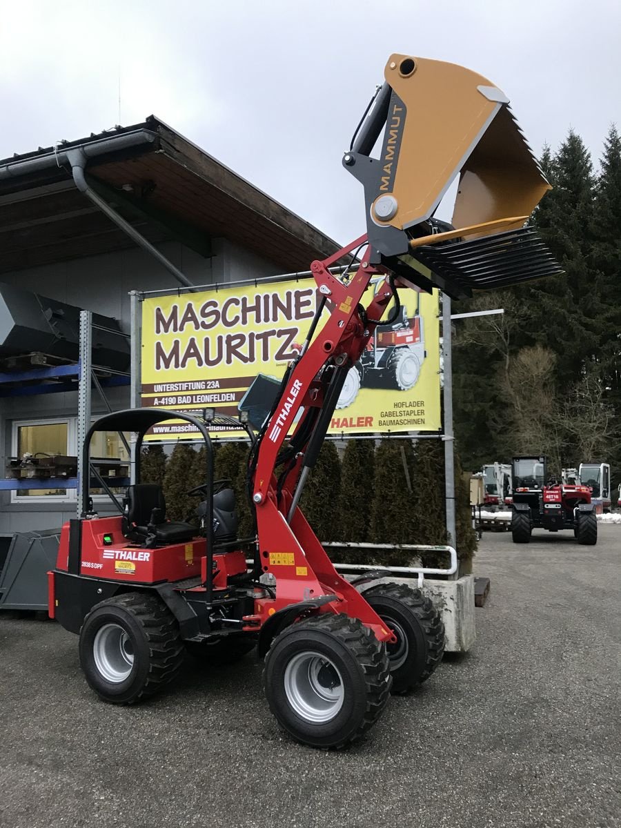 Hoflader tip Thaler 2838 S DPF, Neumaschine in Bad Leonfelden (Poză 9)