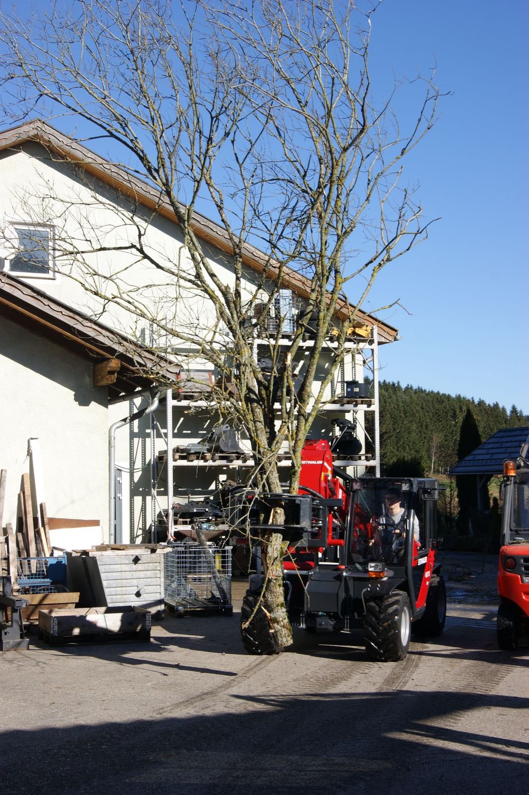Hoflader типа Thaler 48T18 DPF, Neumaschine в Bad Leonfelden (Фотография 2)