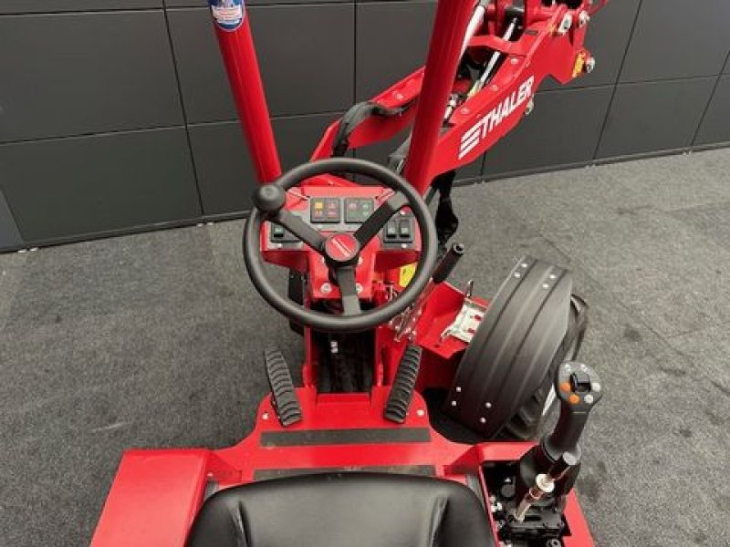 Hoflader του τύπου Thaler Hoflader 1220 19PS 750kg Hubkraft, Neumaschine σε Tamsweg (Φωτογραφία 9)