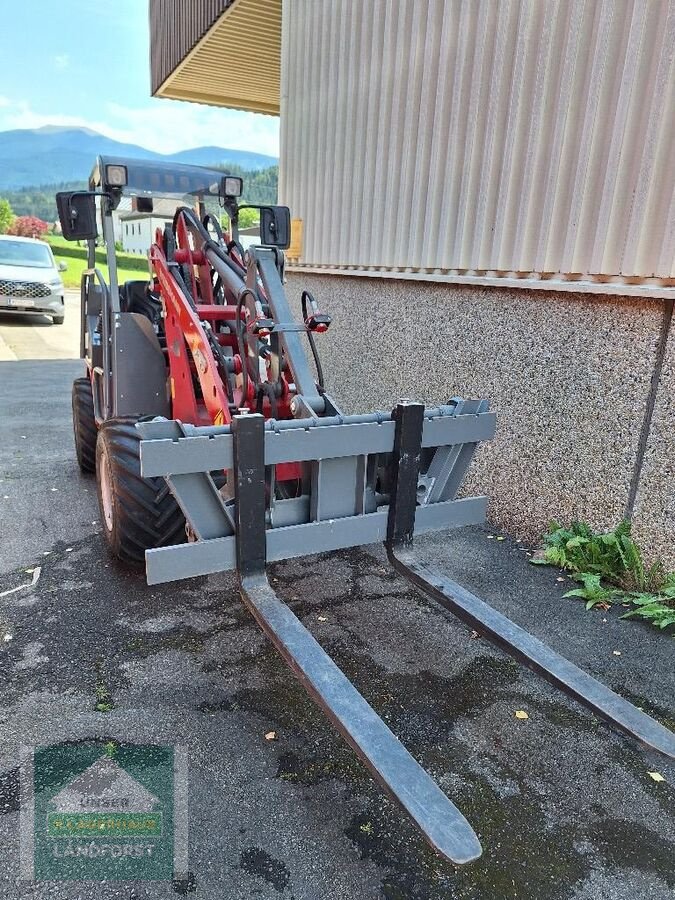 Hoflader of the type Weidemann  1240 LP, Gebrauchtmaschine in Kobenz bei Knittelfeld (Picture 4)