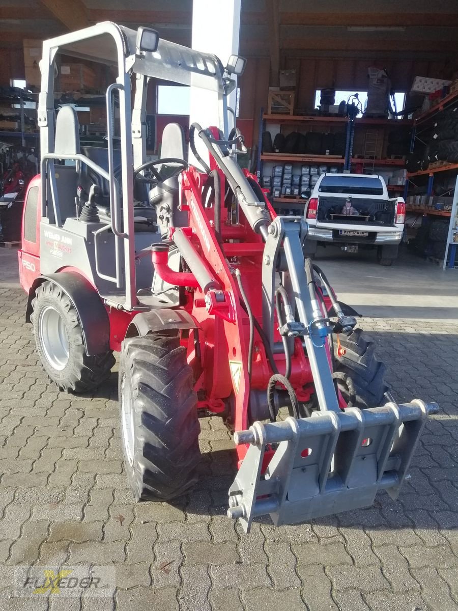 Hoflader typu Weidemann  1250 Hoftraktor, Gebrauchtmaschine v Pattigham (Obrázek 4)