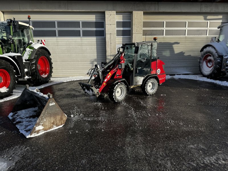 Weidemann 1260 LP, Gebrauchtmaschine, Baujahr: 2022, Betriebsstunden: 170 Stunden (Bild 1) Hoflader des Typs Weidemann 1260 LP, Gebrauchtmaschine in Traberg (Bild 1)