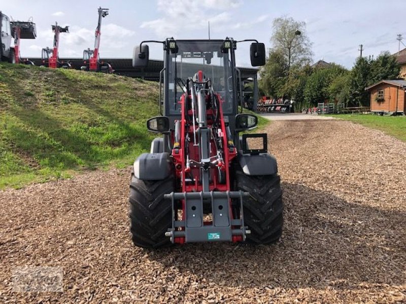 Hoflader typu Weidemann  1390 Hoftrac, Neumaschine w Burgkirchen (Zdjęcie 8)