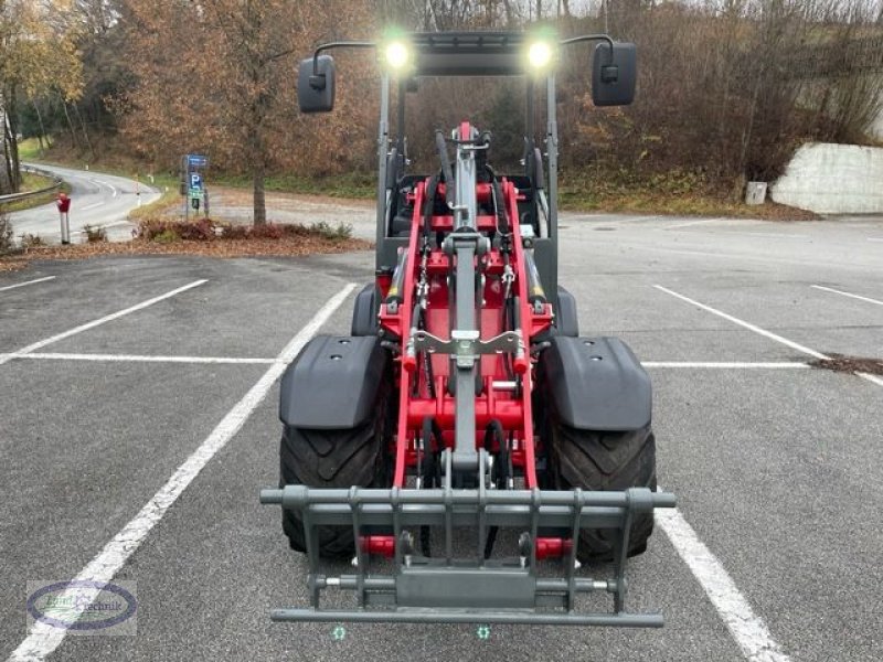 Hoflader van het type Weidemann  1390, Vorführmaschine in Münzkirchen (Foto 3)