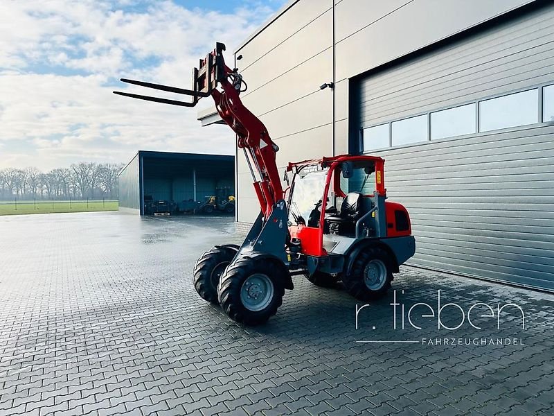 Hoflader of the type Weidemann  2070 CX50 LP Hoflader - Radlader -, Gebrauchtmaschine in Haren (Picture 9)