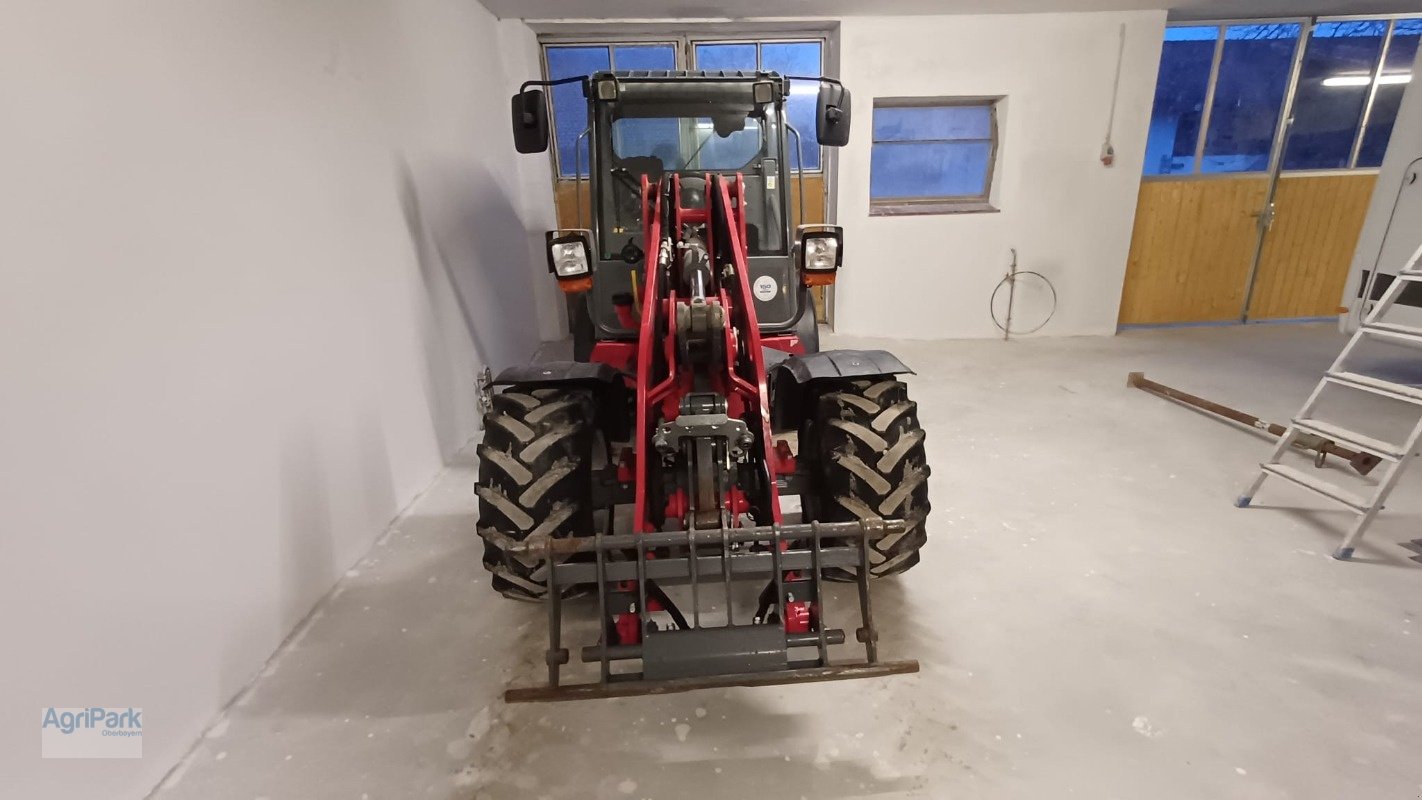 Hoflader za tip Weidemann  2080 LP, Gebrauchtmaschine u Kirchdorf (Slika 5)