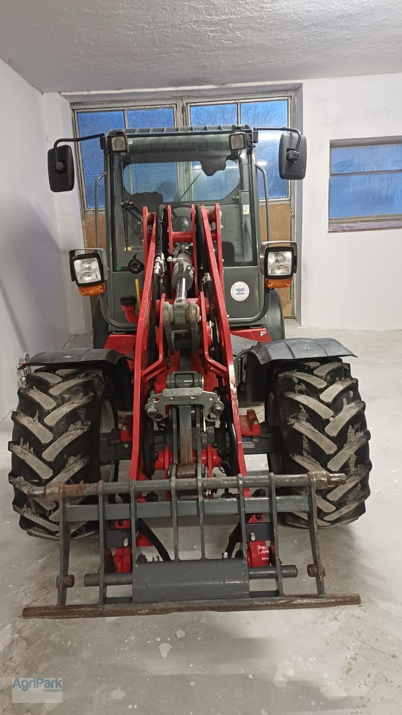 Hoflader za tip Weidemann  2080 LP, Gebrauchtmaschine u Kirchdorf (Slika 6)