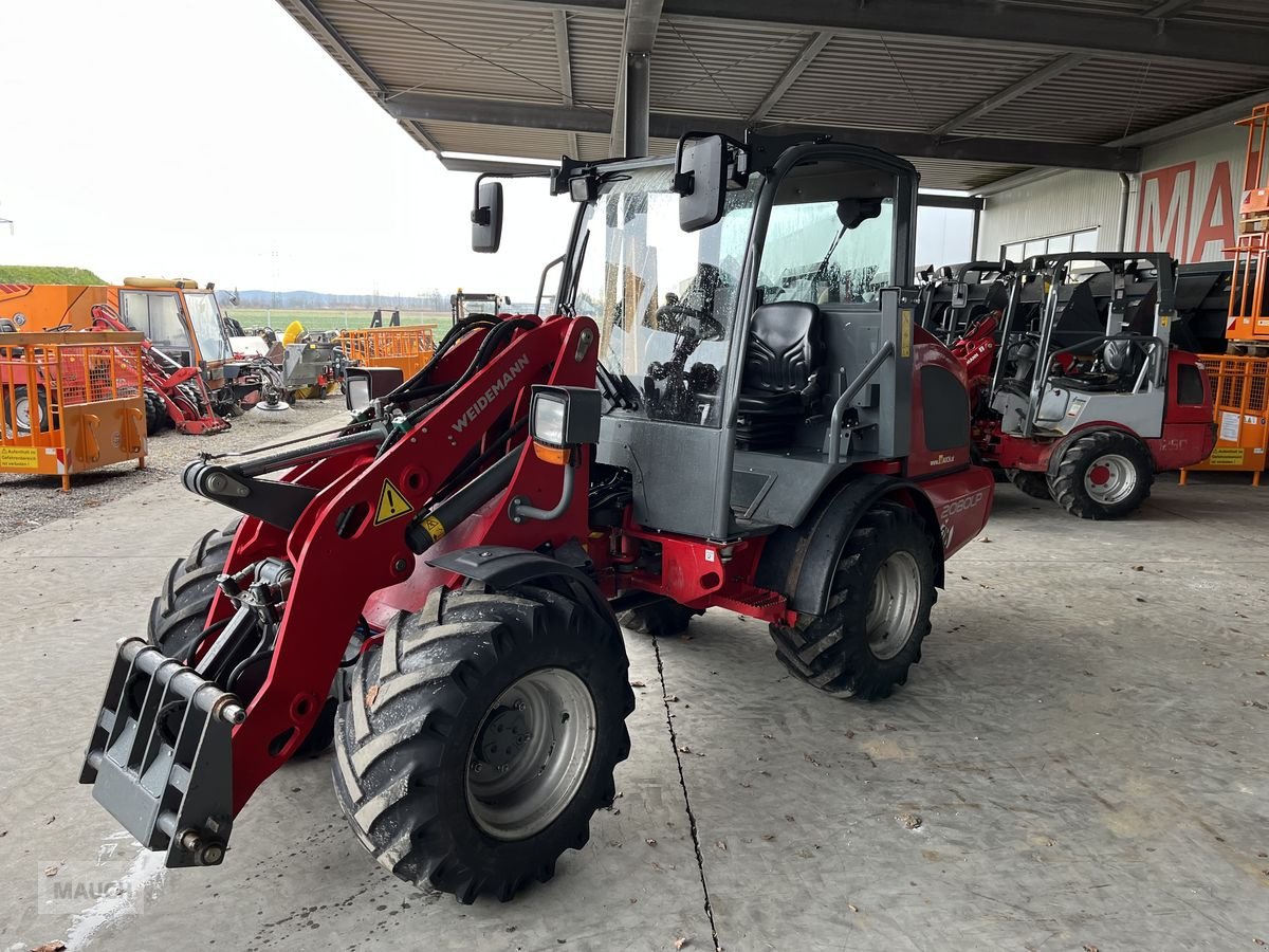 Hoflader a típus Weidemann  2080LP 61PS, 2350mm hoch, Gebrauchtmaschine ekkor: Burgkirchen (Kép 18)