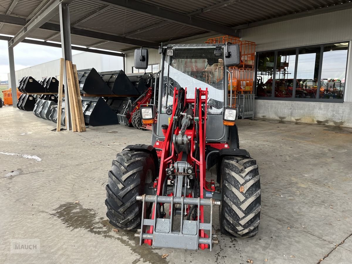 Hoflader a típus Weidemann  2080LP 61PS, 2350mm hoch, Gebrauchtmaschine ekkor: Burgkirchen (Kép 16)