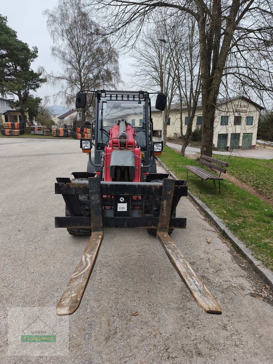 Hoflader of the type Weidemann  2080LPT, Gebrauchtmaschine in Freistadt (Picture 3)