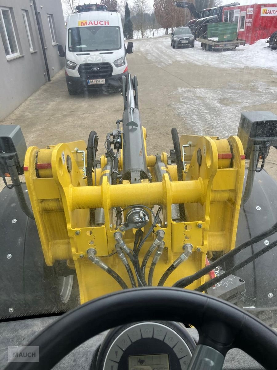 Hoflader типа Weidemann  3080 LP Radlader, Vorführmaschine в Burgkirchen (Фотография 8)
