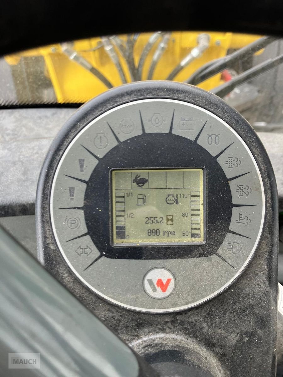 Hoflader типа Weidemann  3080 LP Radlader, Vorführmaschine в Burgkirchen (Фотография 10)