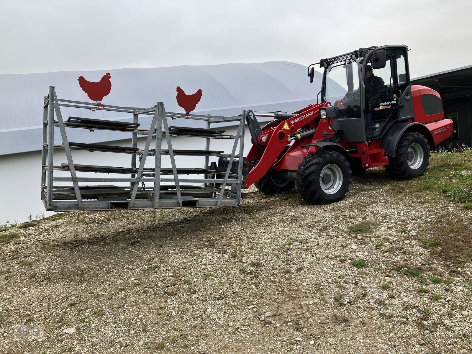 Hoflader des Typs Weidemann  3080LP für Geflügelkistengabel sofort verfügbar, Vorführmaschine in Burgkirchen (Bild 10)