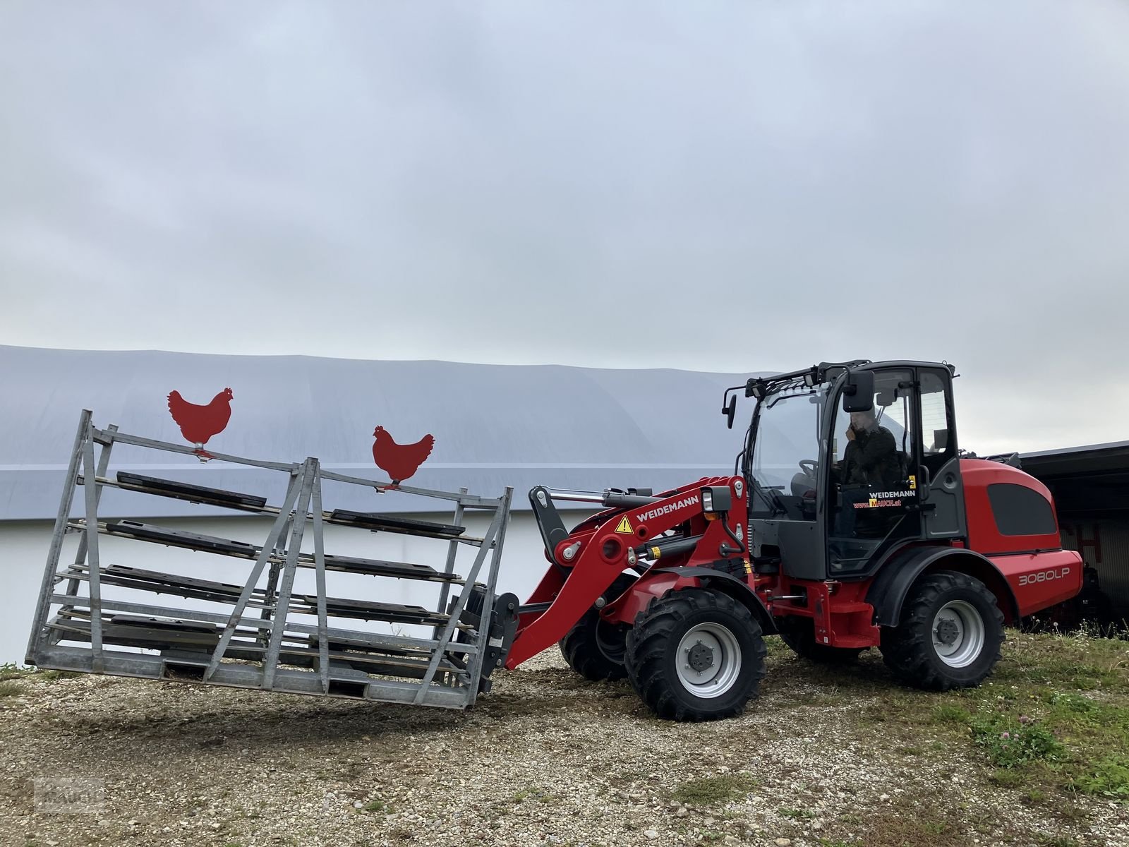 Hoflader des Typs Weidemann  3080LP für Geflügelkistengabel sofort verfügbar, Vorführmaschine in Burgkirchen (Bild 8)