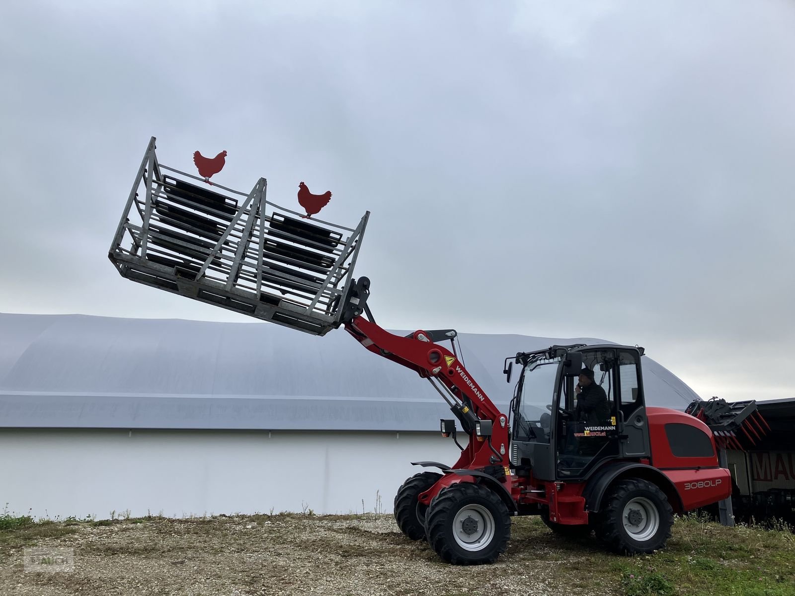 Hoflader des Typs Weidemann  3080LP für Geflügelkistengabel sofort verfügbar, Vorführmaschine in Burgkirchen (Bild 9)