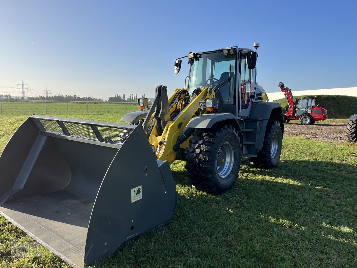 Hoflader a típus Weidemann  9080 Radlader VOLVO / TPV, Gebrauchtmaschine ekkor: Burgkirchen (Kép 4)