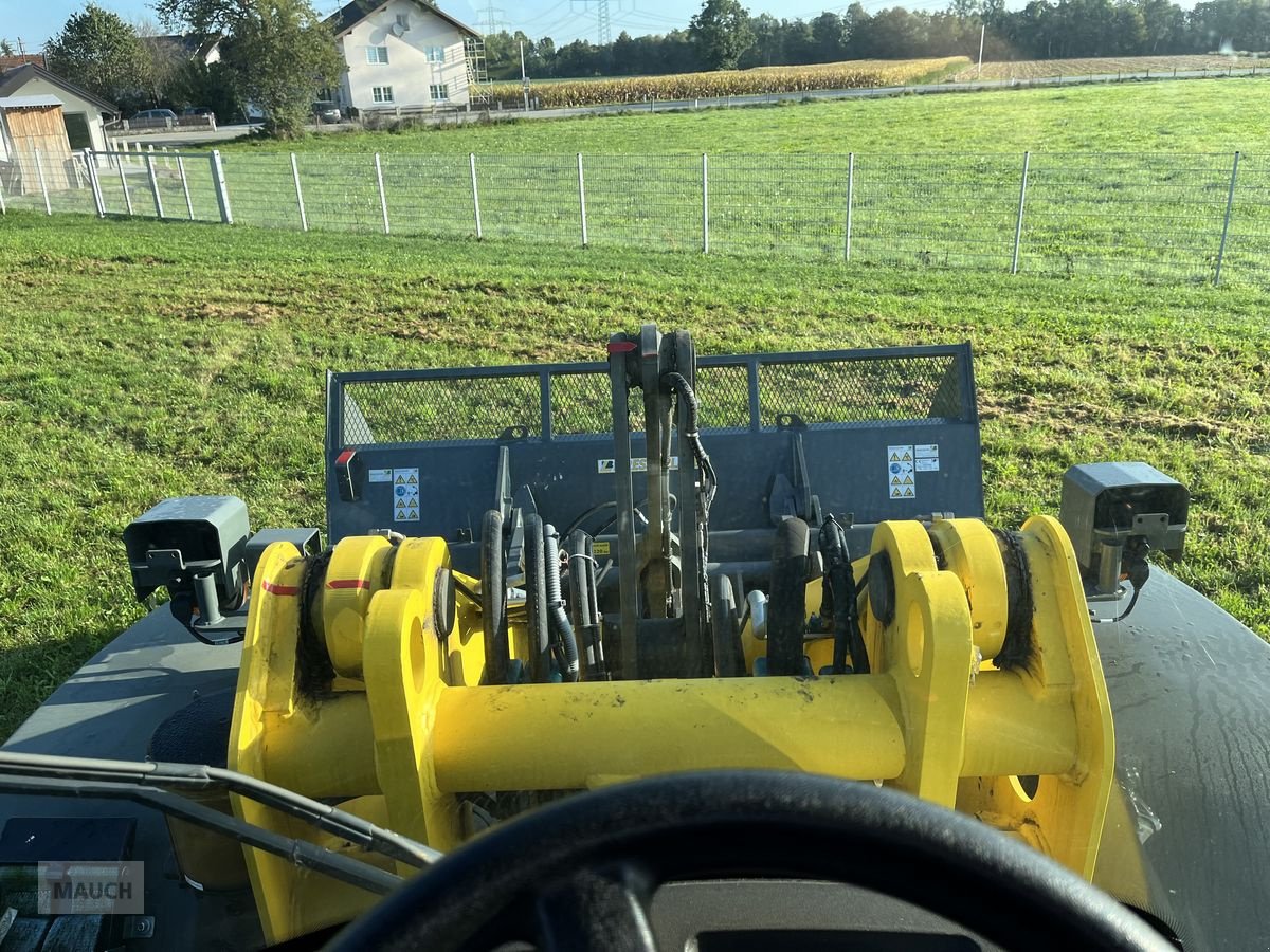 Hoflader a típus Weidemann  9080 Radlader VOLVO / TPV, Gebrauchtmaschine ekkor: Burgkirchen (Kép 26)