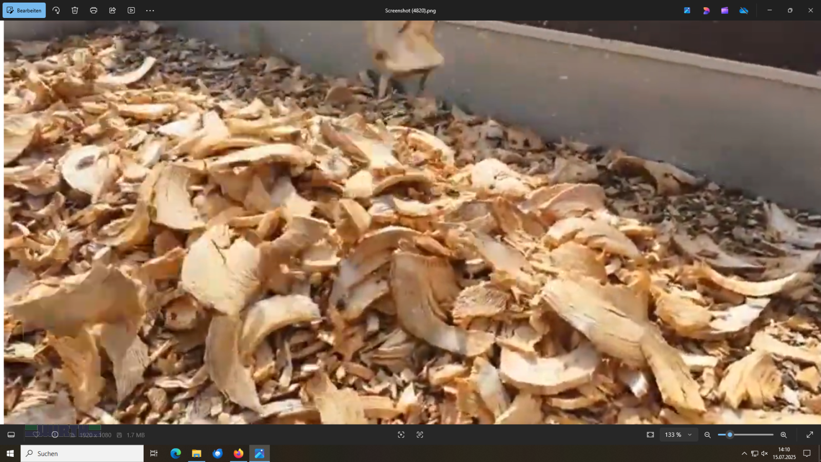 Holzhacker & Holzhäcksler typu Alvatec Holzzerkleinerungsmaschine 20.30 "Messerabatt Karpfham 8%", Gebrauchtmaschine v Buchdorf (Obrázek 18)